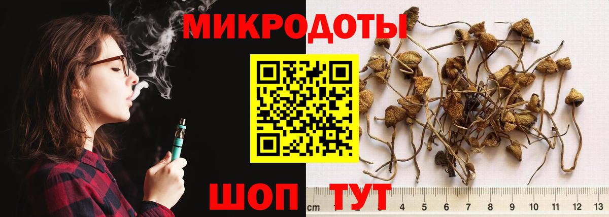 Галлюциногенные грибы прущие грибы Энгельс
